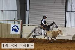 13usn_28068 proof