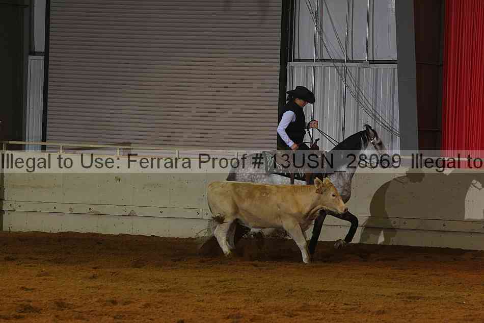 Proof 13usn_28069