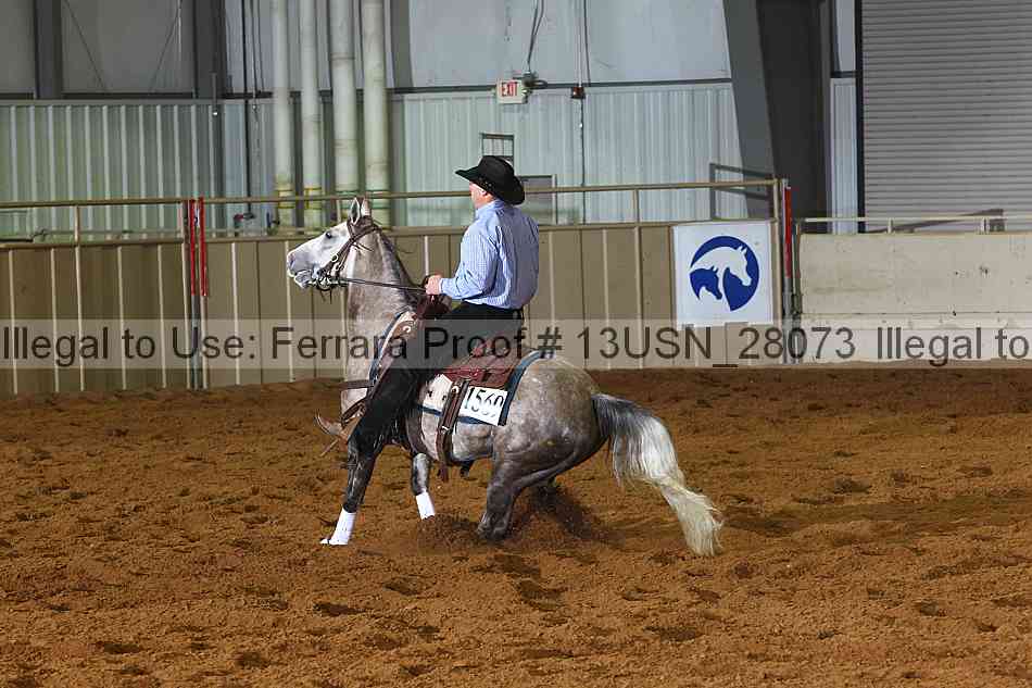 Proof 13usn_28073