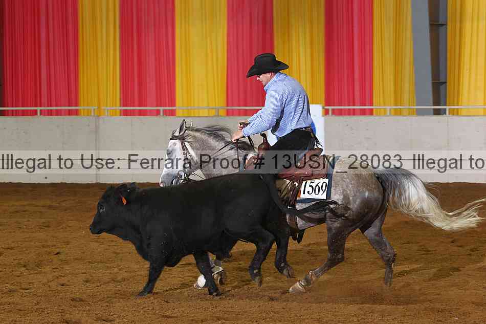Proof 13usn_28083