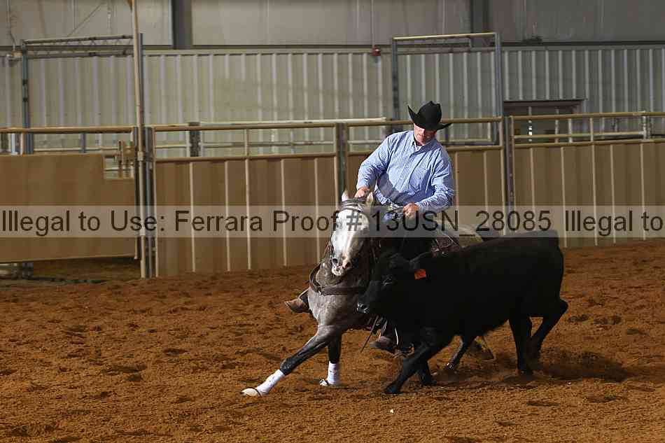 Proof 13usn_28085