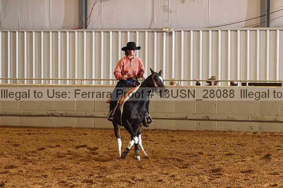 Proof 13usn_28088