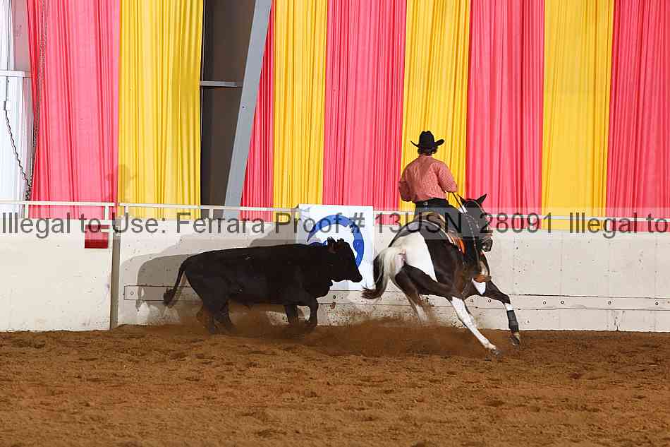 Proof 13usn_28091