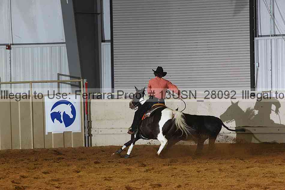 Proof 13usn_28092
