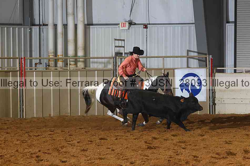 Proof 13usn_28093