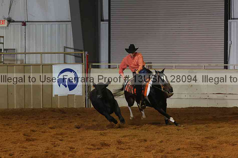 Proof 13usn_28094