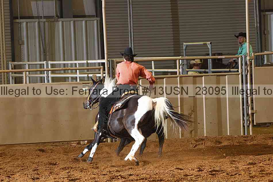 Proof 13usn_28095