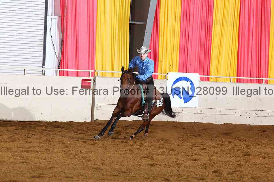 Proof 13usn_28099