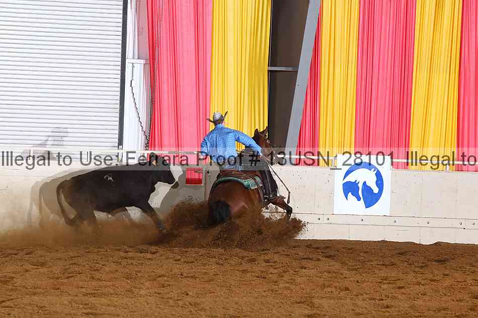 Proof 13usn_28101