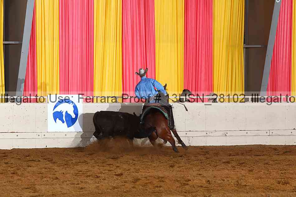 Proof 13usn_28102