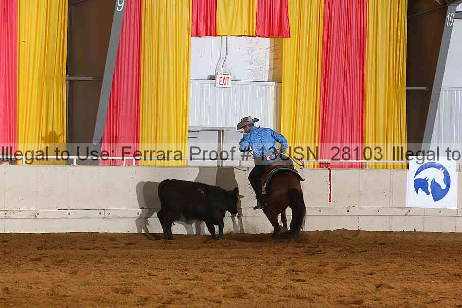 Proof 13usn_28103