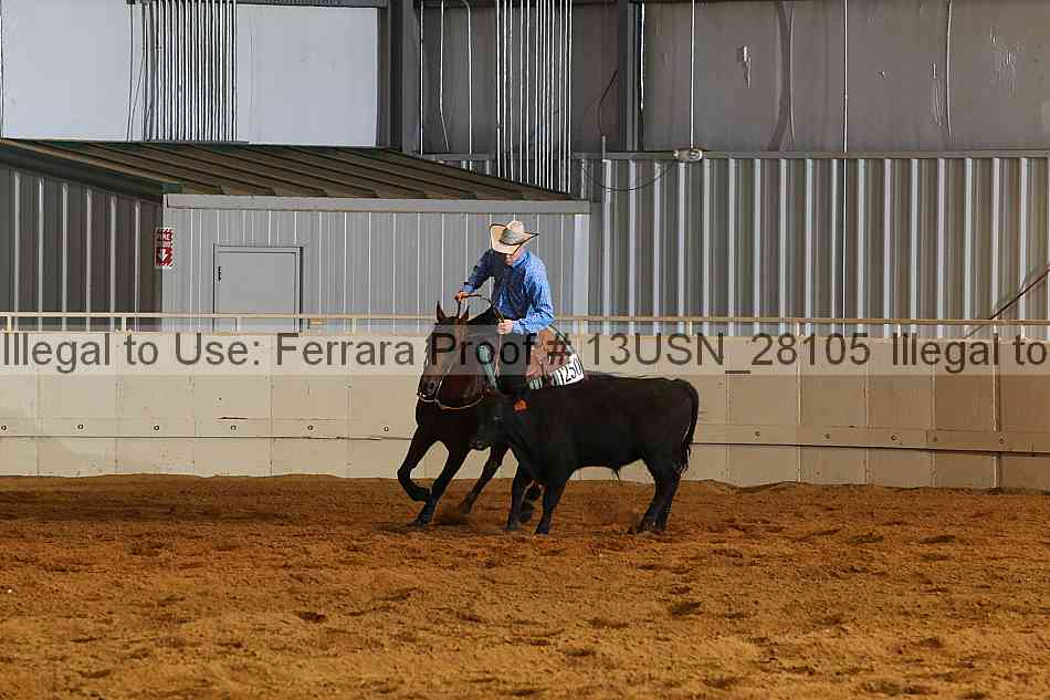 Proof 13usn_28105