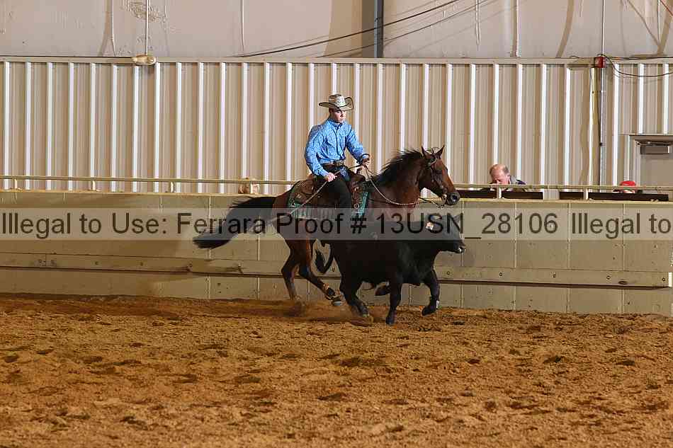 Proof 13usn_28106