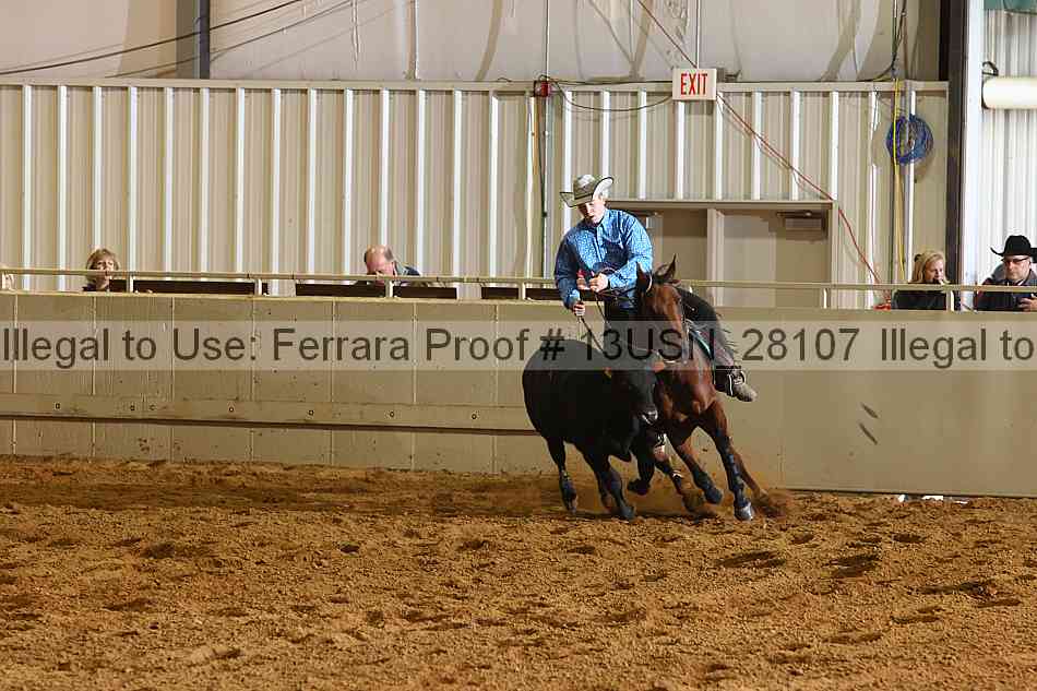Proof 13usn_28107