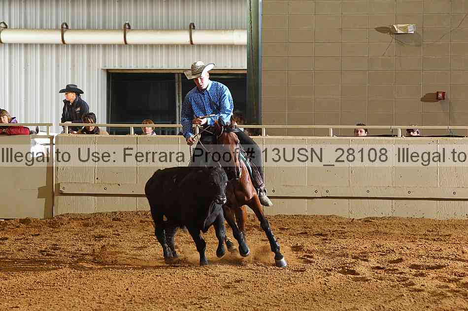 Proof 13usn_28108