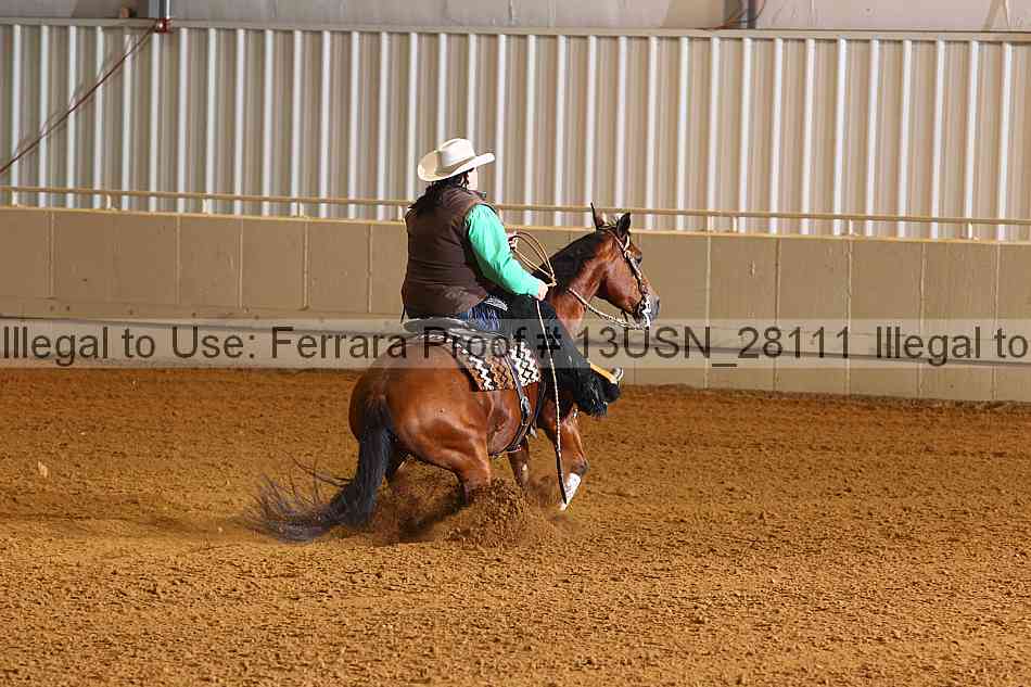 Proof 13usn_28111
