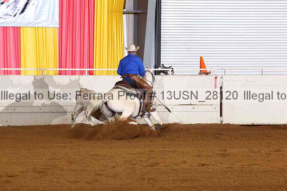 Proof 13usn_28120