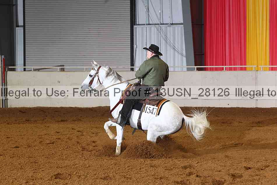 Proof 13usn_28126