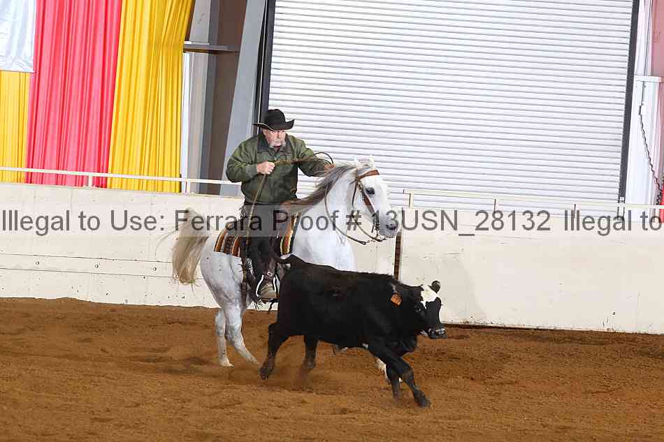 Proof 13usn_28132