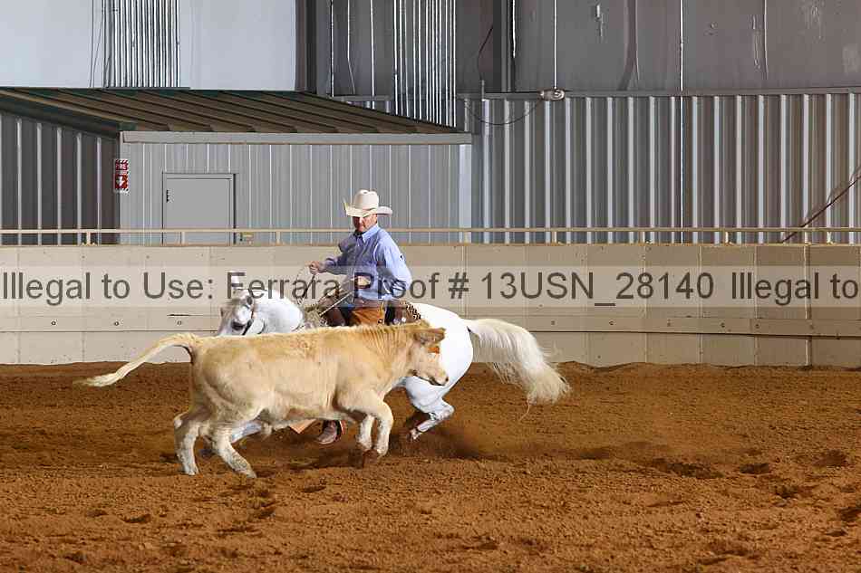 Proof 13usn_28140