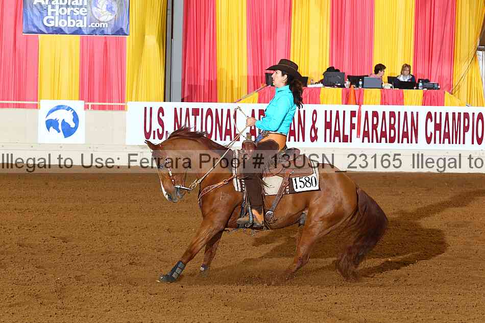 Proof 13usn_23165