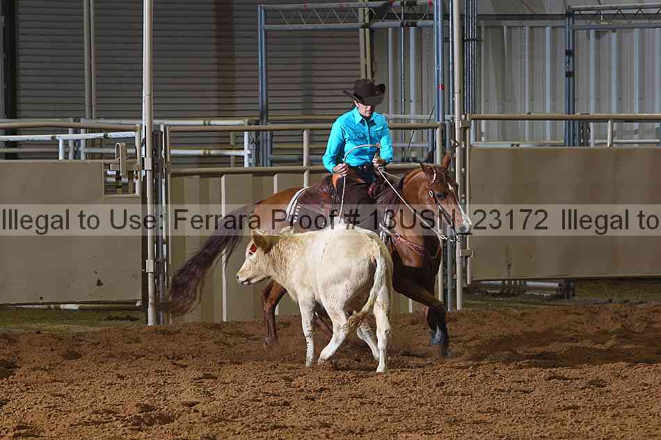 Proof 13usn_23172