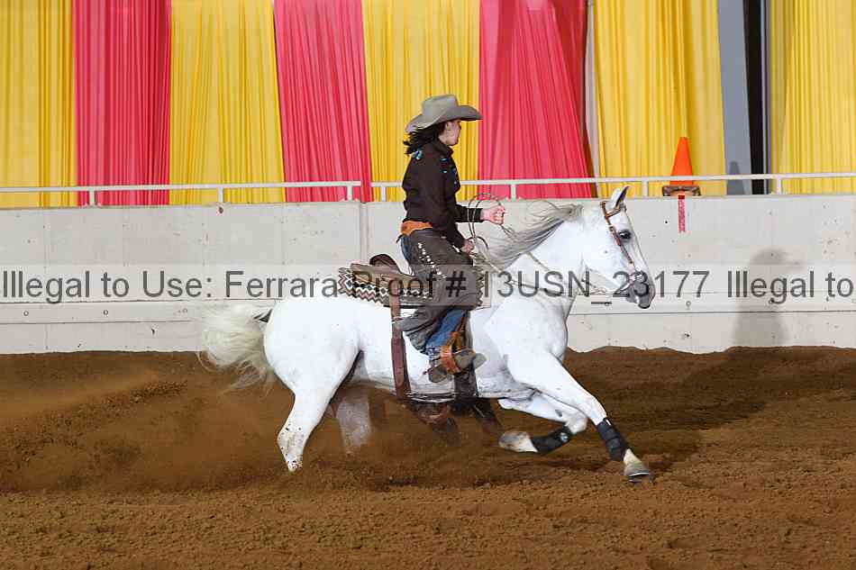 Proof 13usn_23177