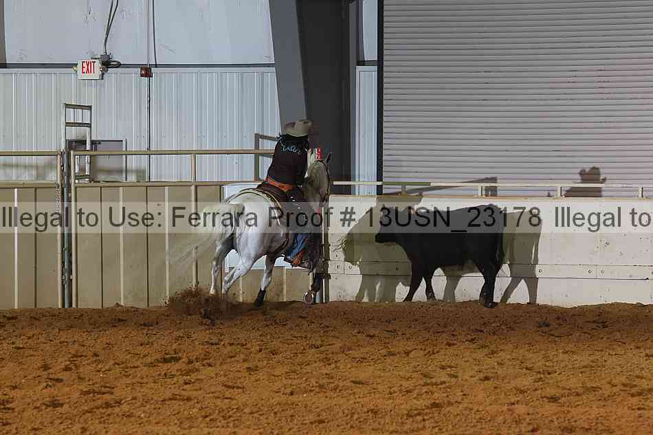 Proof 13usn_23178