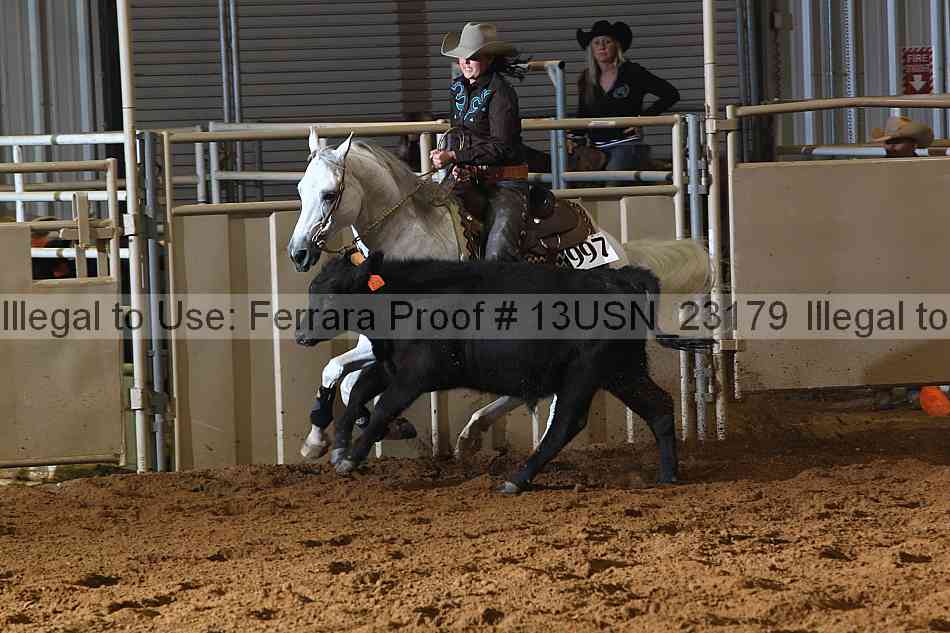 Proof 13usn_23179