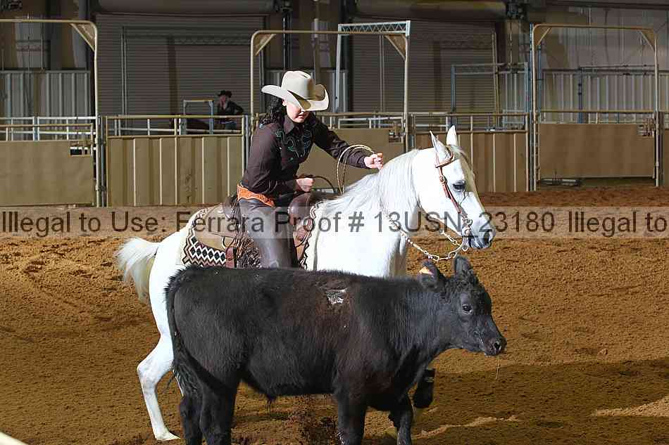 Proof 13usn_23180