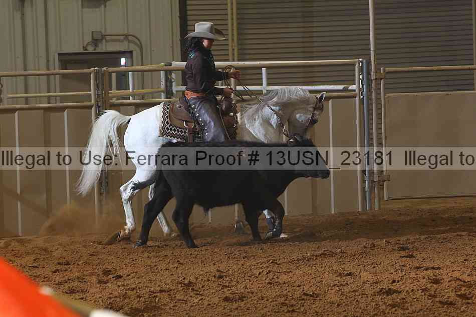 Proof 13usn_23181