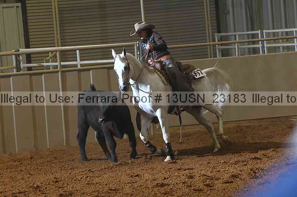Proof 13usn_23183