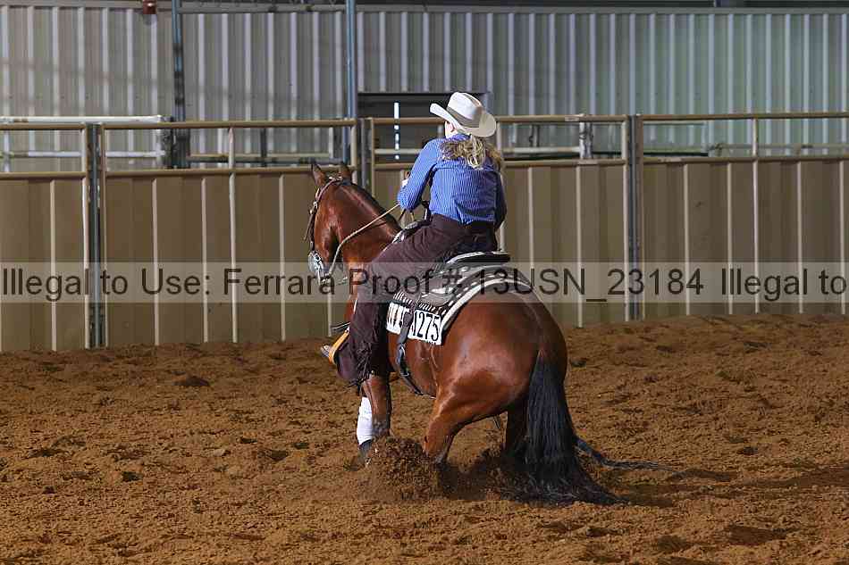 Proof 13usn_23184