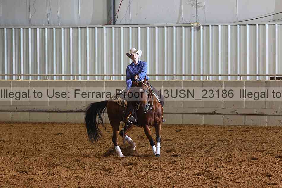 Proof 13usn_23186