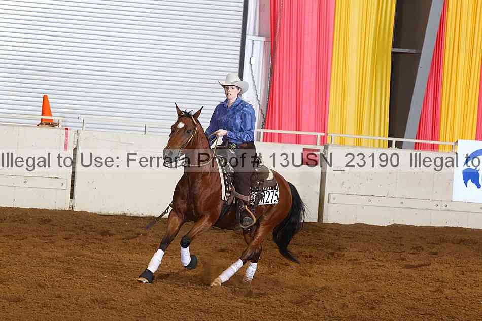 Proof 13usn_23190
