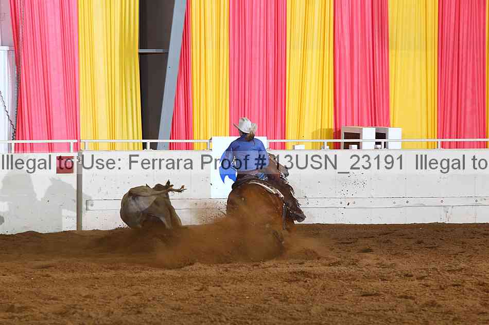 Proof 13usn_23191