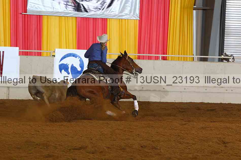 Proof 13usn_23193