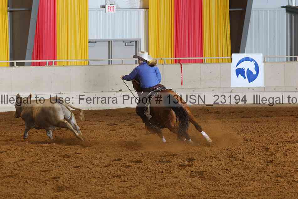 Proof 13usn_23194