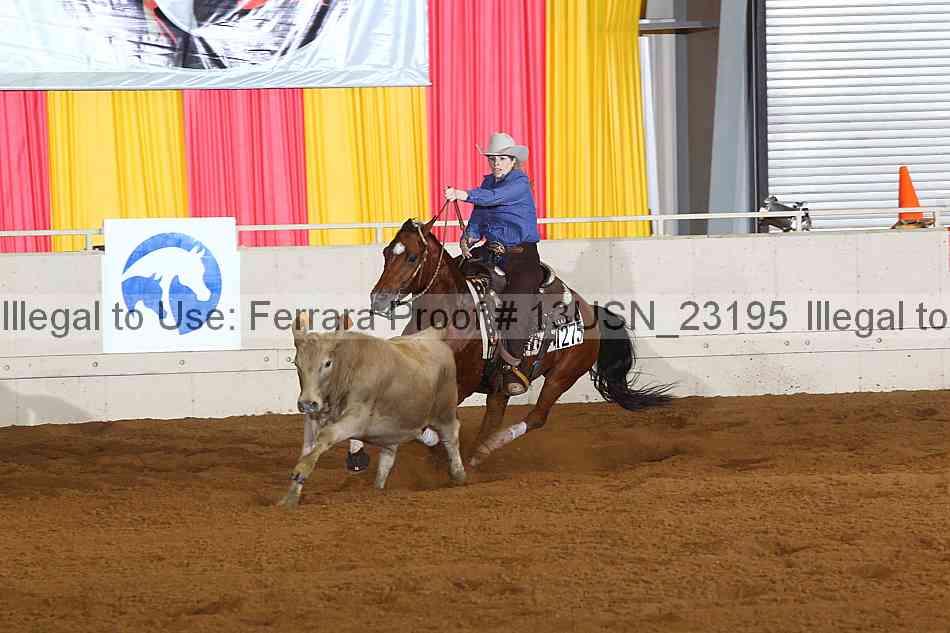Proof 13usn_23195