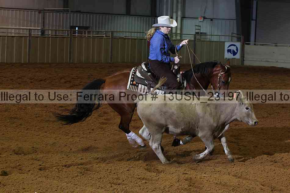 Proof 13usn_23197