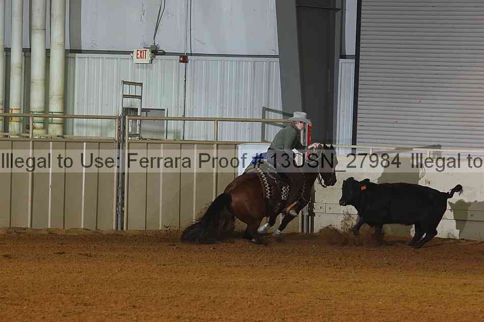 Proof 13usn_27984