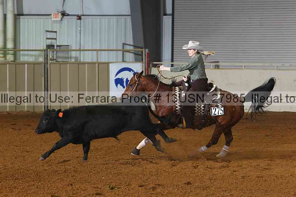 Proof 13usn_27985
