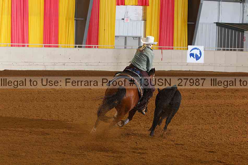 Proof 13usn_27987