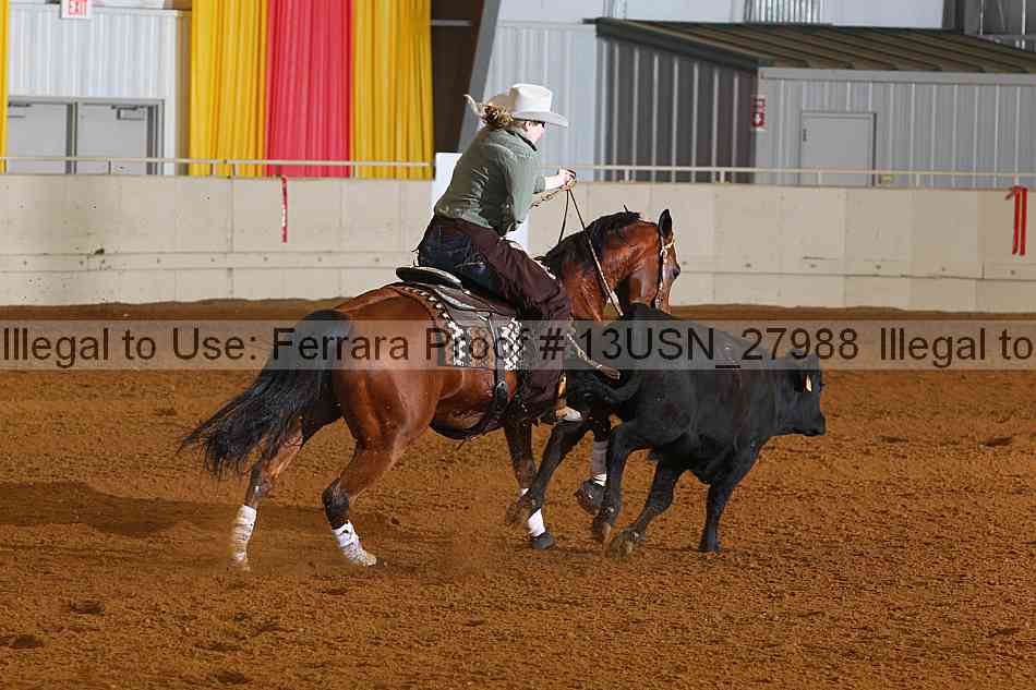 Proof 13usn_27988