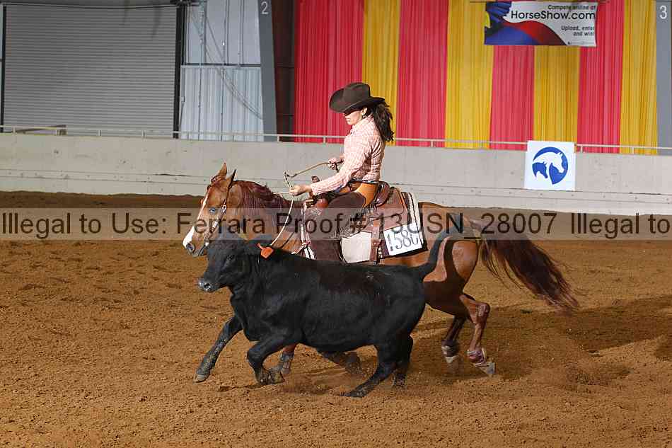 Proof 13usn_28007
