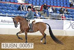 13usn_00057 proof