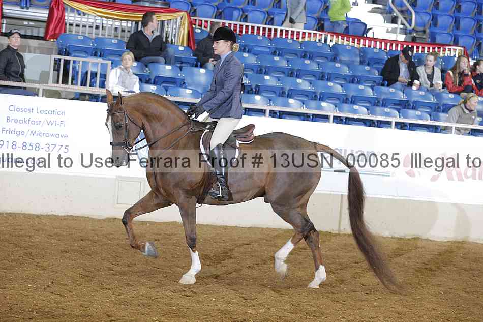 Proof 13usn_00085