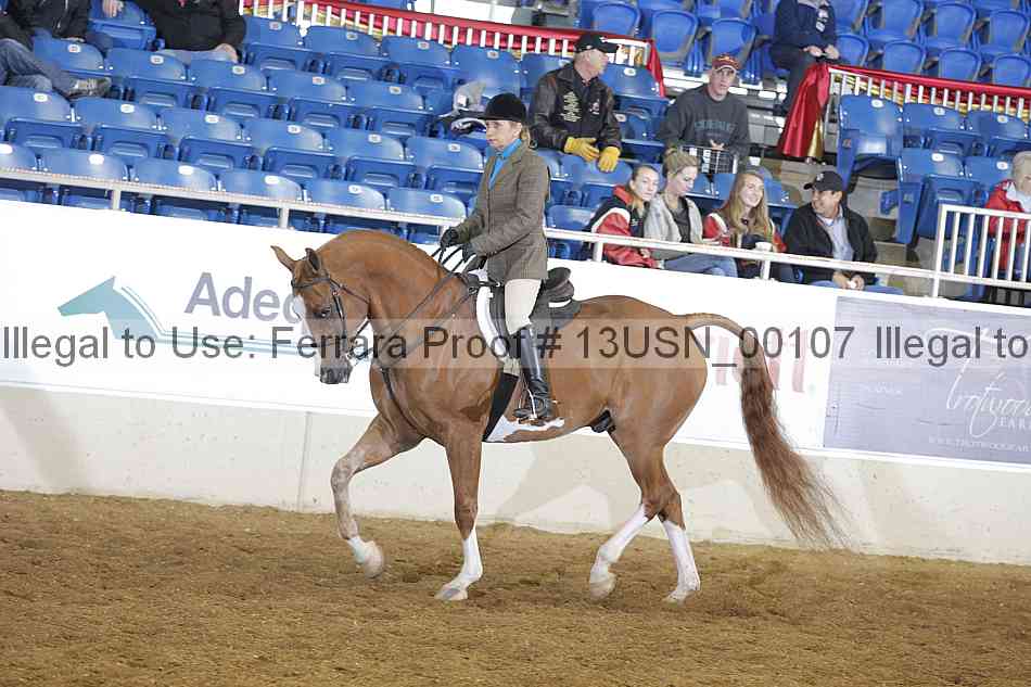 Proof 13usn_00107