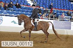 13usn_00112 proof