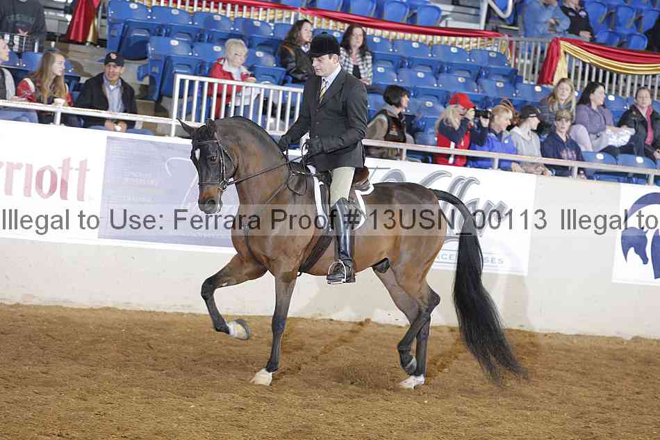 Proof 13usn_00113